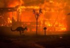 オーストラリアで続く大規模な森林火災による被害者救済のために多くのDJたちが寄付！